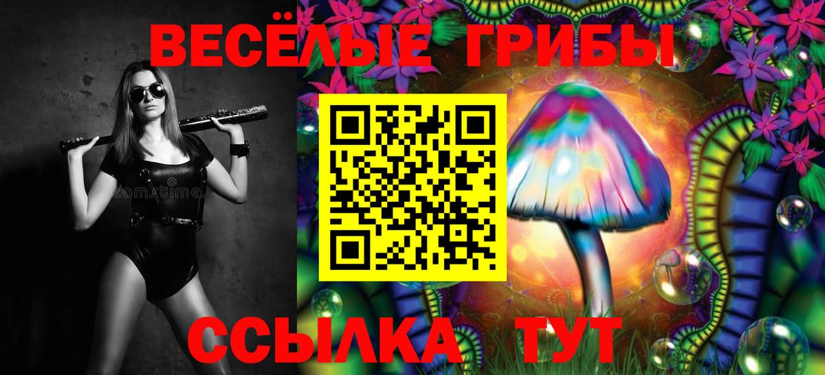Улан-Удэ  Псилоцибиновые грибы прущие грибы  Вход с VPN 